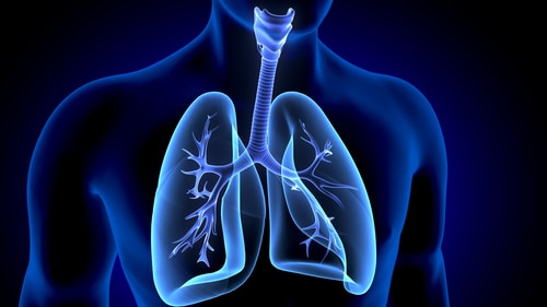 COPD Prof. Louis NL